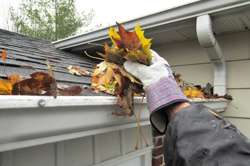 Clogged Gutter Damage